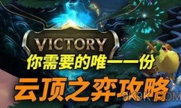 最新爆料云顶之弈,神秘英雄登场，全新战术策略引领潮流