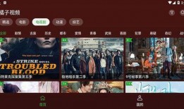 知名八卦爆料视频播放下载,播放量飙升背后的下载秘密